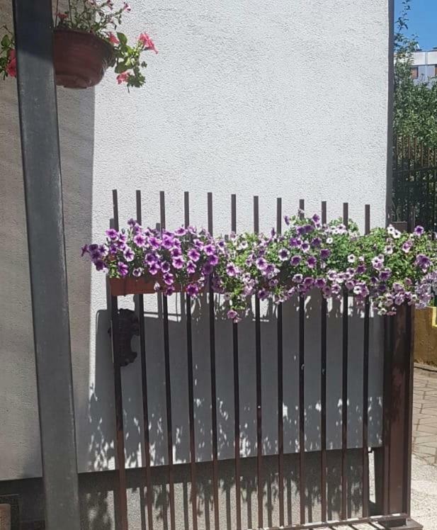 Sun Garden Sarajevo Aparthotel Ngoại thất bức ảnh